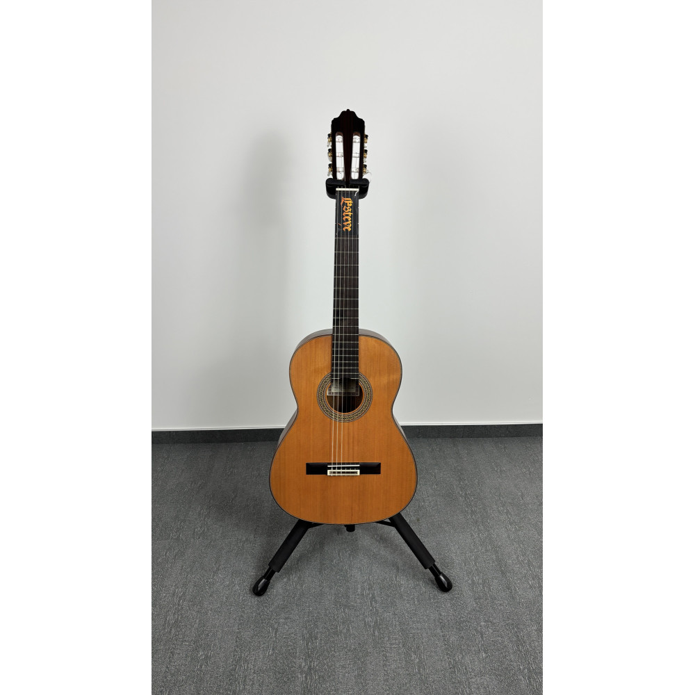 Esteve Mod.7 F/E Cocobolo Guitar