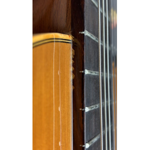Esteve Guitar Mod.1 F/e Bubinga