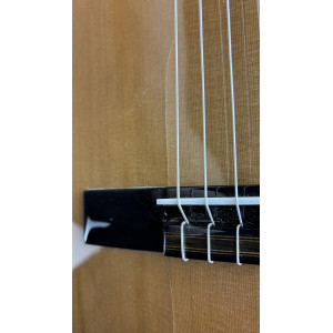 Dea Ergo Snt Cedar Classical Guitar