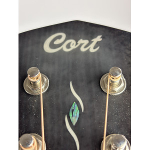 Guitare Cort Core-oc Acajou Noir Degrade
