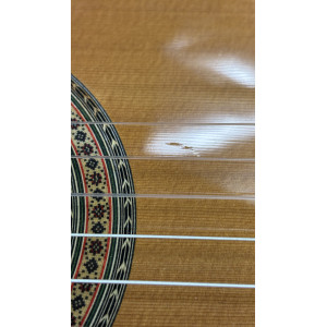 Esteve Konservatorium Gitarre Zederndecke