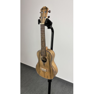 Ukulele Konzert Alabama Dao