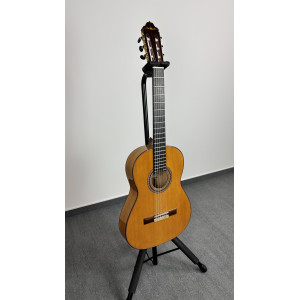 Esteve Gipsykings Spruce Guitar