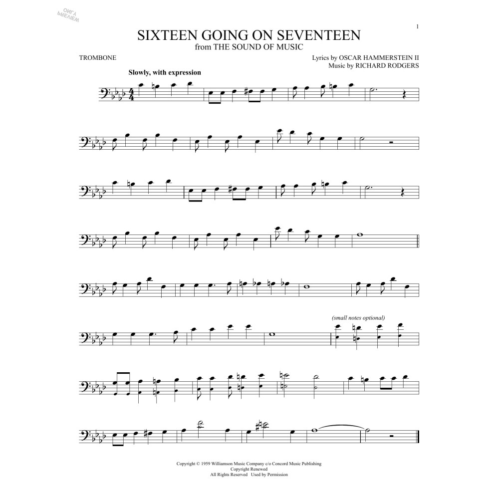 Sixteen Going On Seventeen (from The Sound of Music)