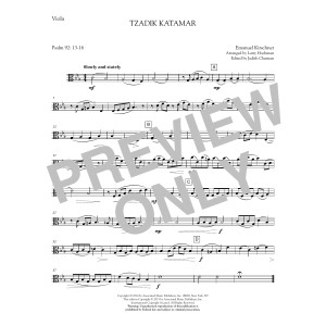Tzadik Katamar - Viola