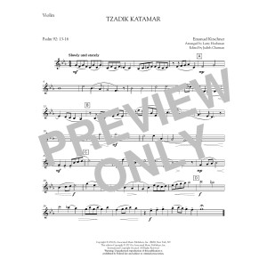 Tzadik Katamar - Violin