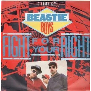 Fight For Your Right (To Party)