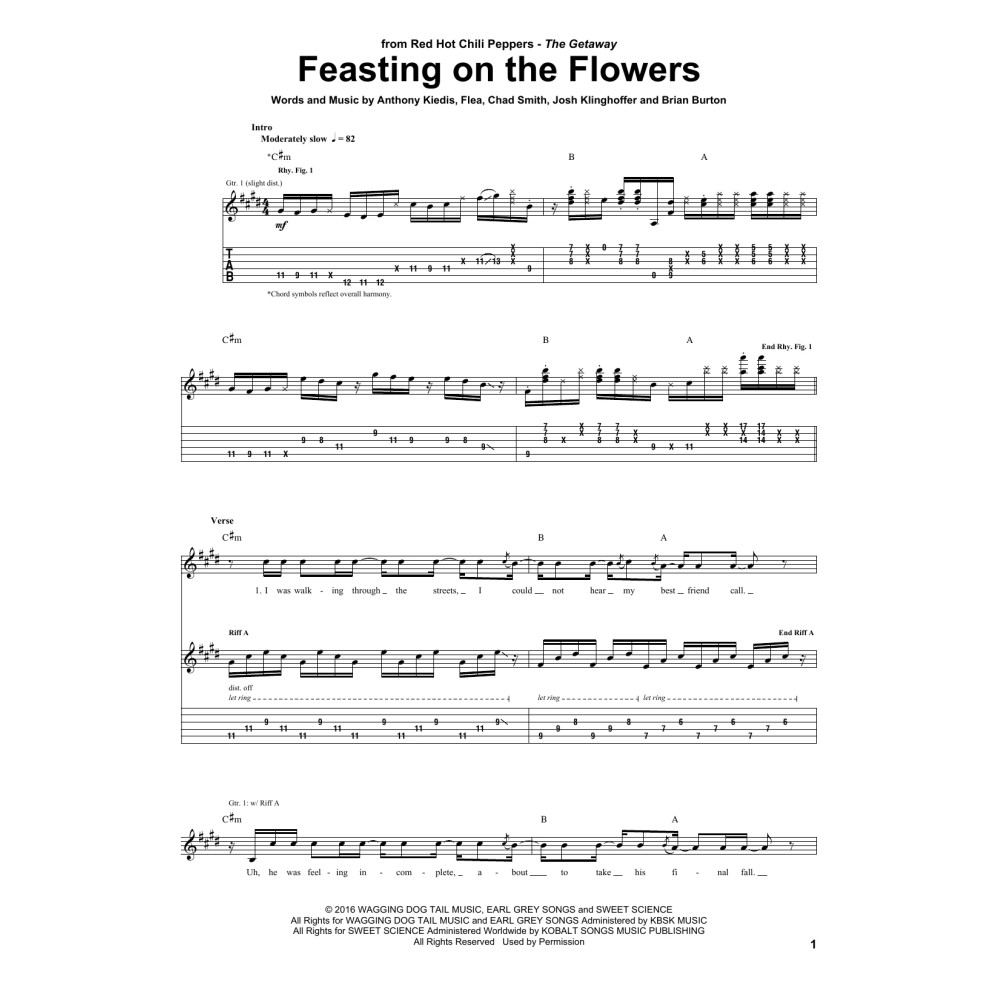 Feasting On The Flowers