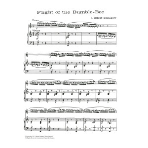 The Flight Of The Bumblebee (from The Tale Of Tsar Saltan)