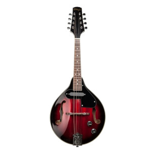 Stagg M50 E