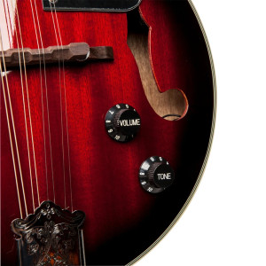 Stagg M50 E