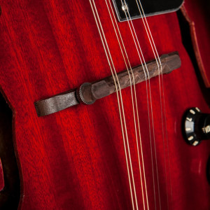 Stagg M50 E
