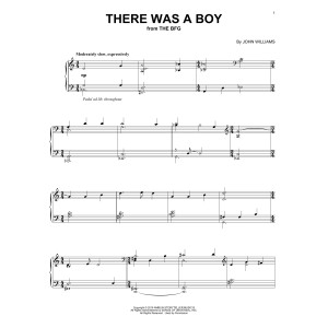 There Was A Boy