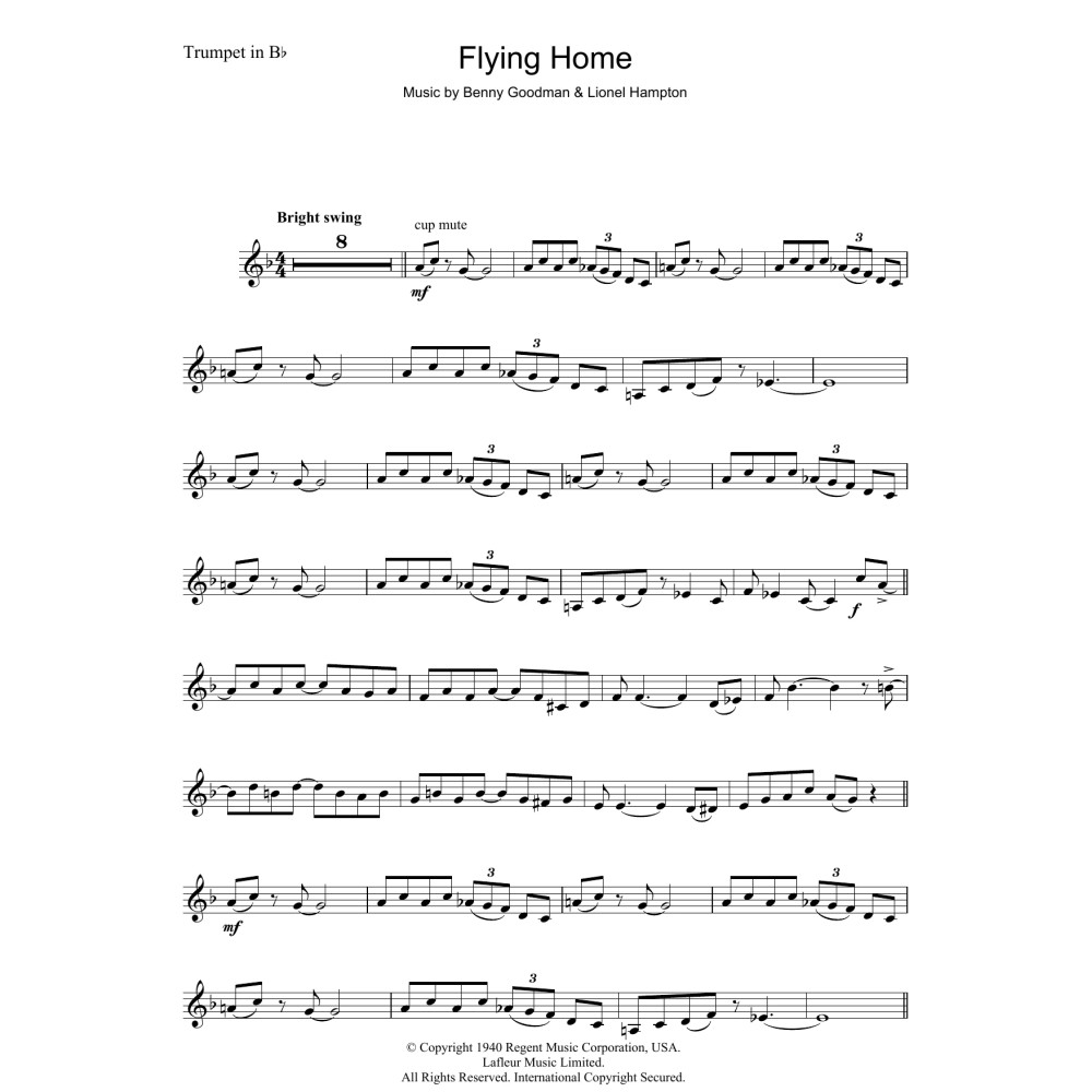 Flying Home
