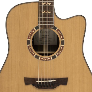Crafter Stg D18ce Pro