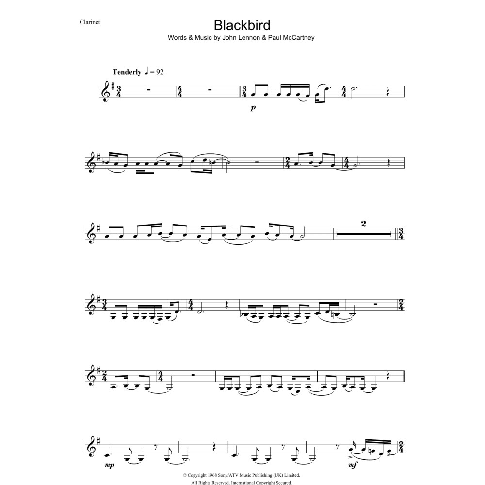 Blackbird
