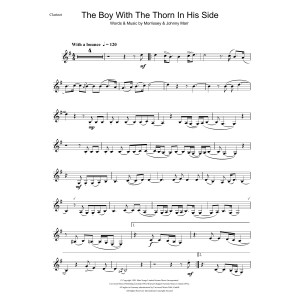 The Boy With The Thorn In His Side