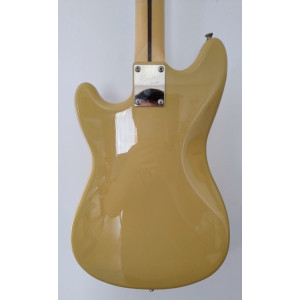 Squier duo sonic