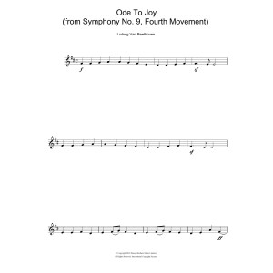 Ode To Joy from Symphony No. 9, Fourth Movement