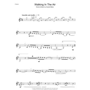 Walking In The Air (theme from The Snowman)