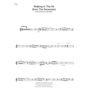 Walking In The Air (theme from The Snowman)