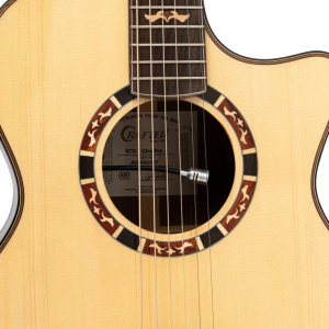 Crafter Stg T22ce Pro