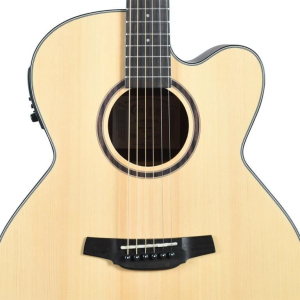 Crafter Hj100-ce-n