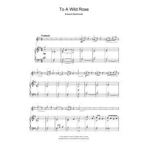 To A Wild Rose