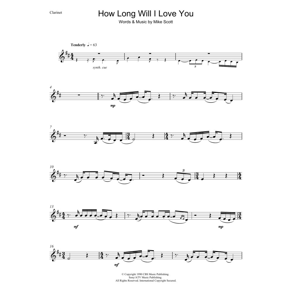 How Long Will I Love You