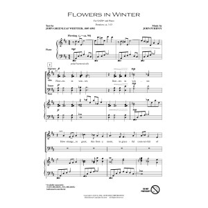 Flowers In Winter