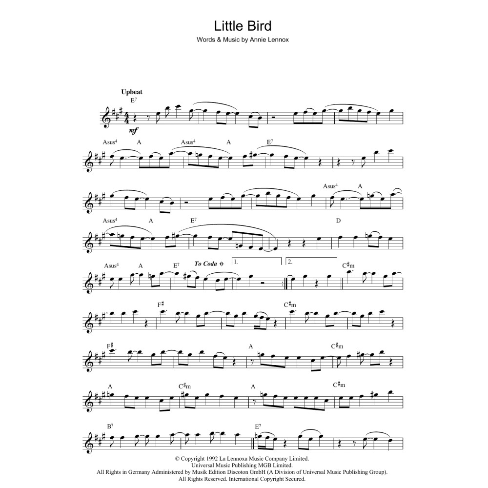 Little Bird
