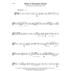 What A Wonderful World