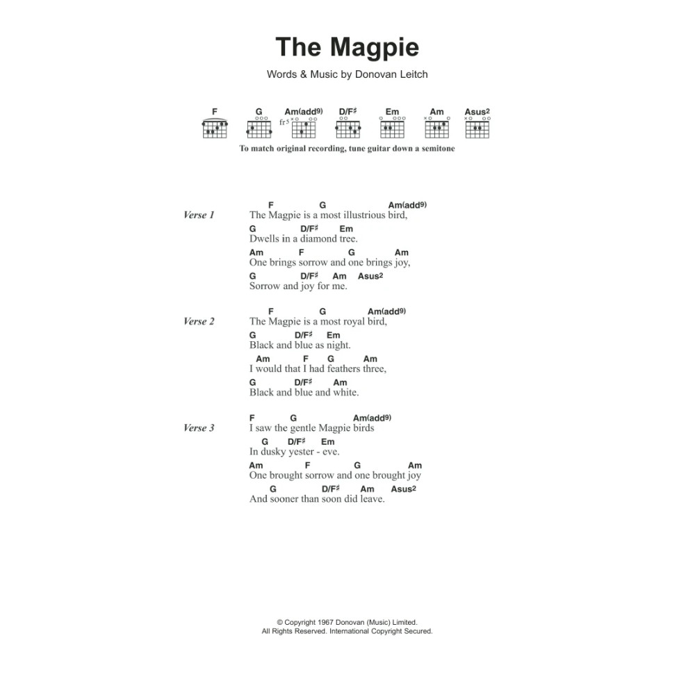 The Magpie