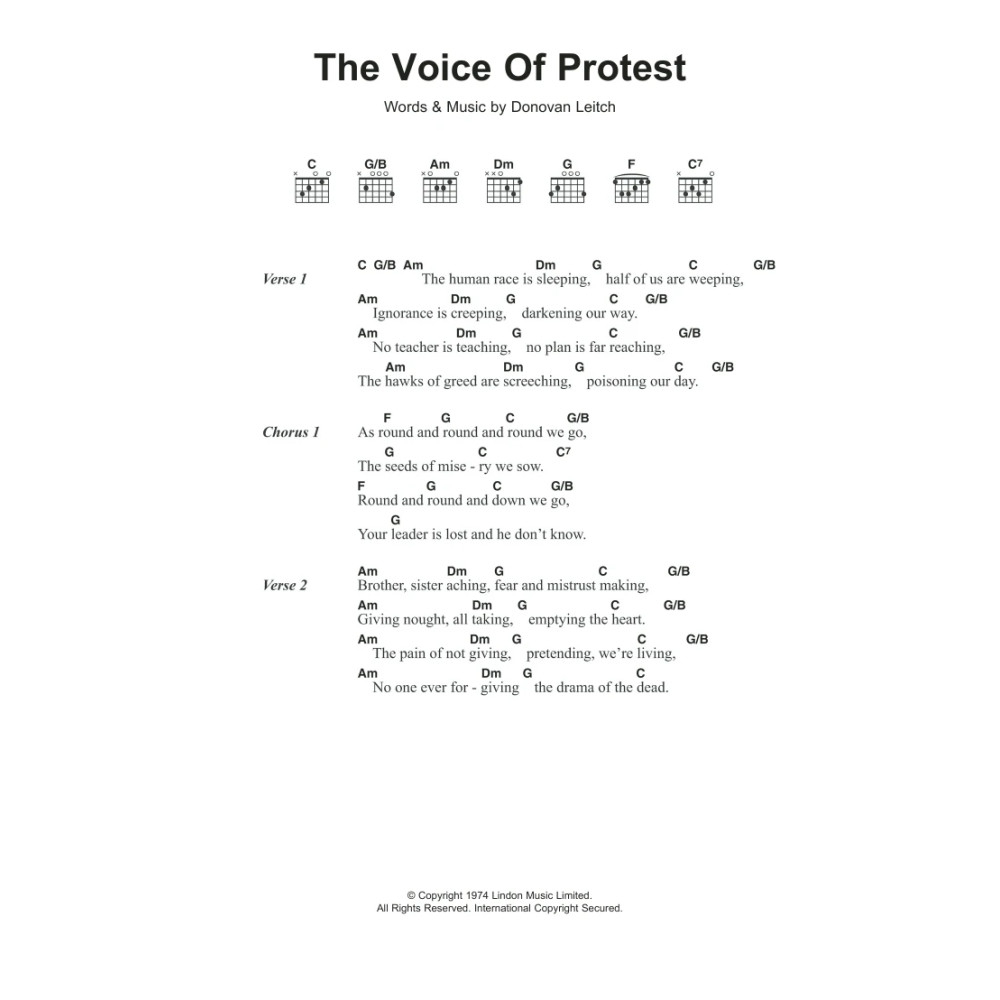 The Voice Of Protest