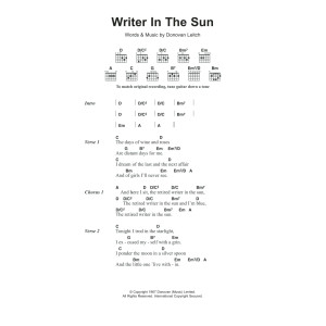 Writer In The Sun