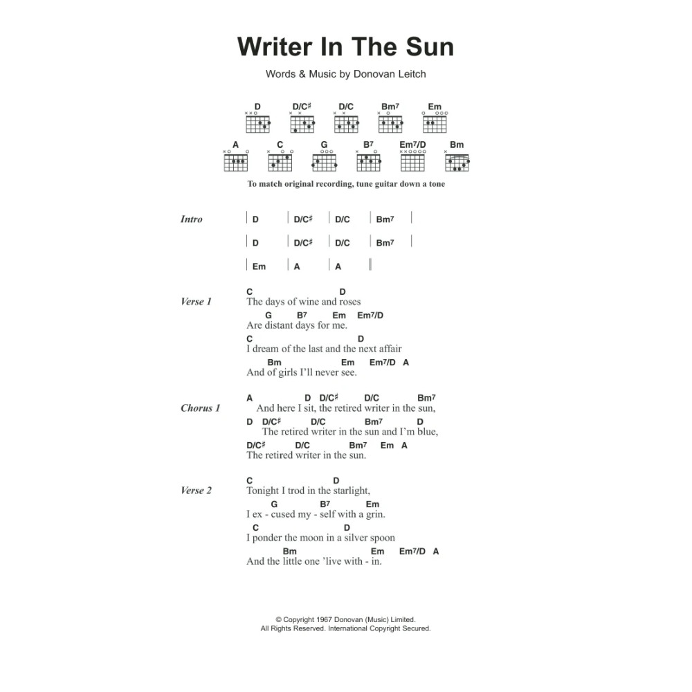 Writer In The Sun