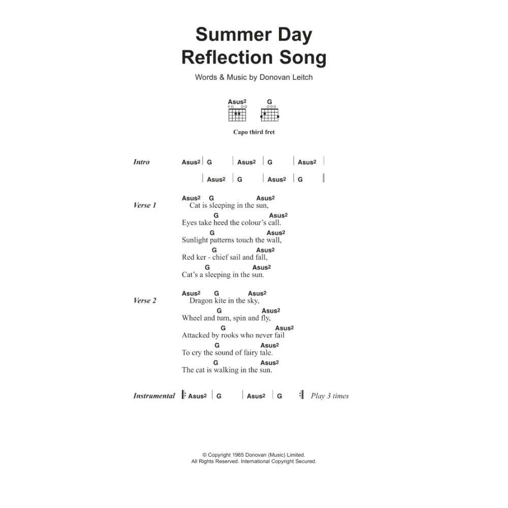 Summer Day Reflection Song