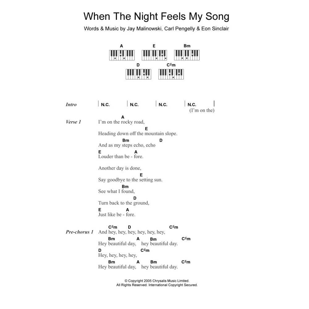 When The Night Feels My Song