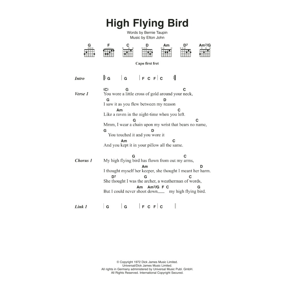 High Flying Bird