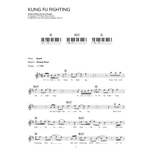 Kung Fu Fighting