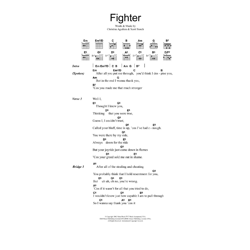Fighter