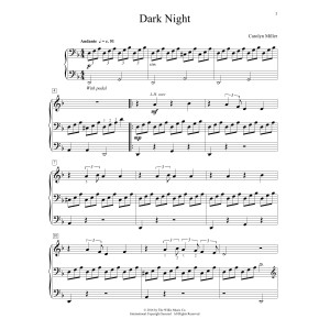 Dark Night