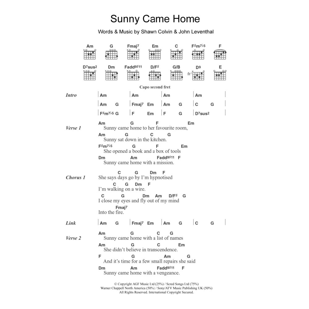 Sunny Came Home