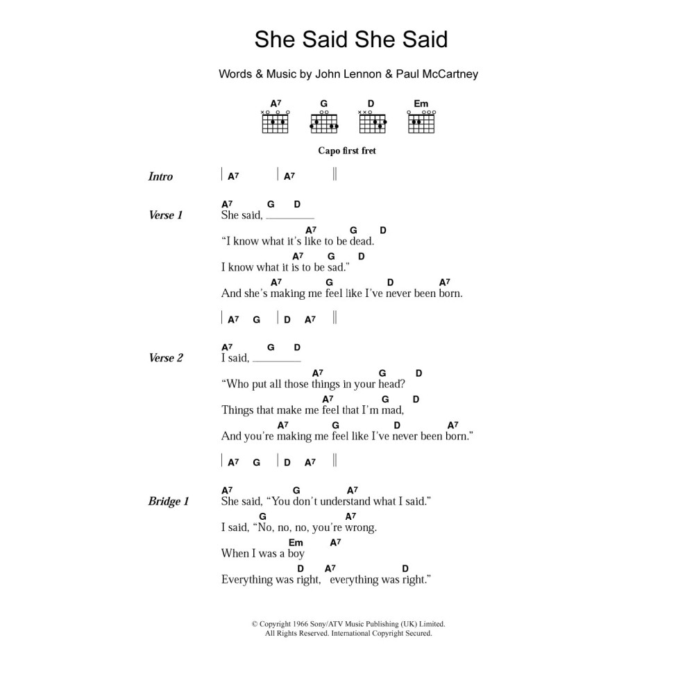She Said She Said