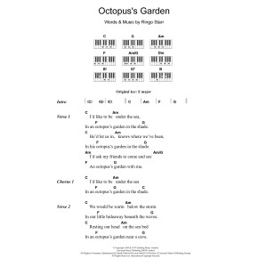 Octopus's Garden
