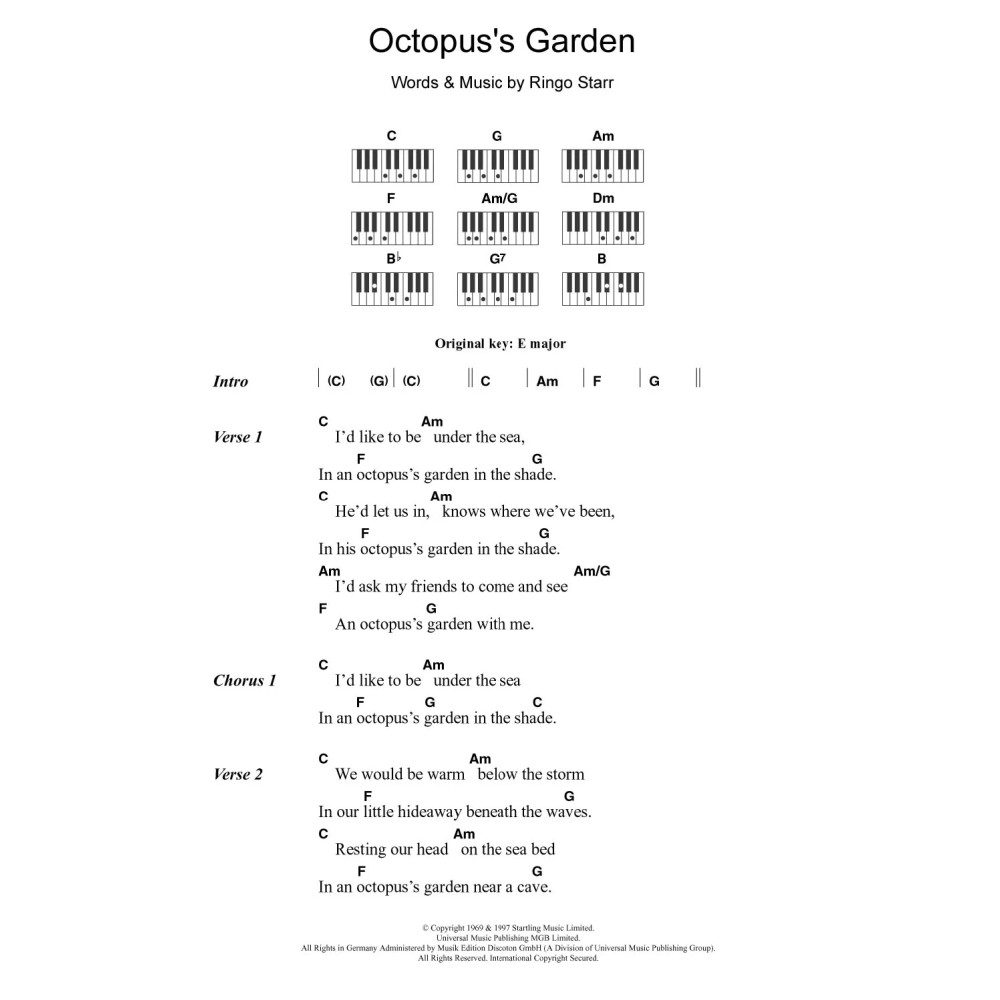 Octopus's Garden