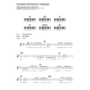 Flying Without Wings