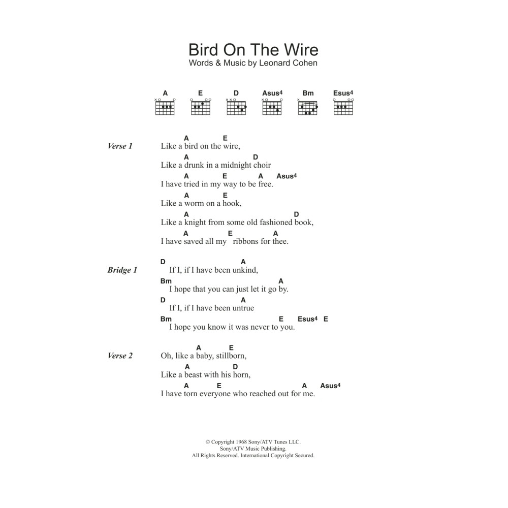 Bird On The Wire (Bird On A Wire)