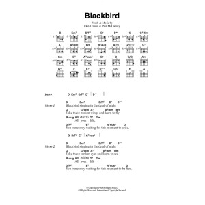 Blackbird