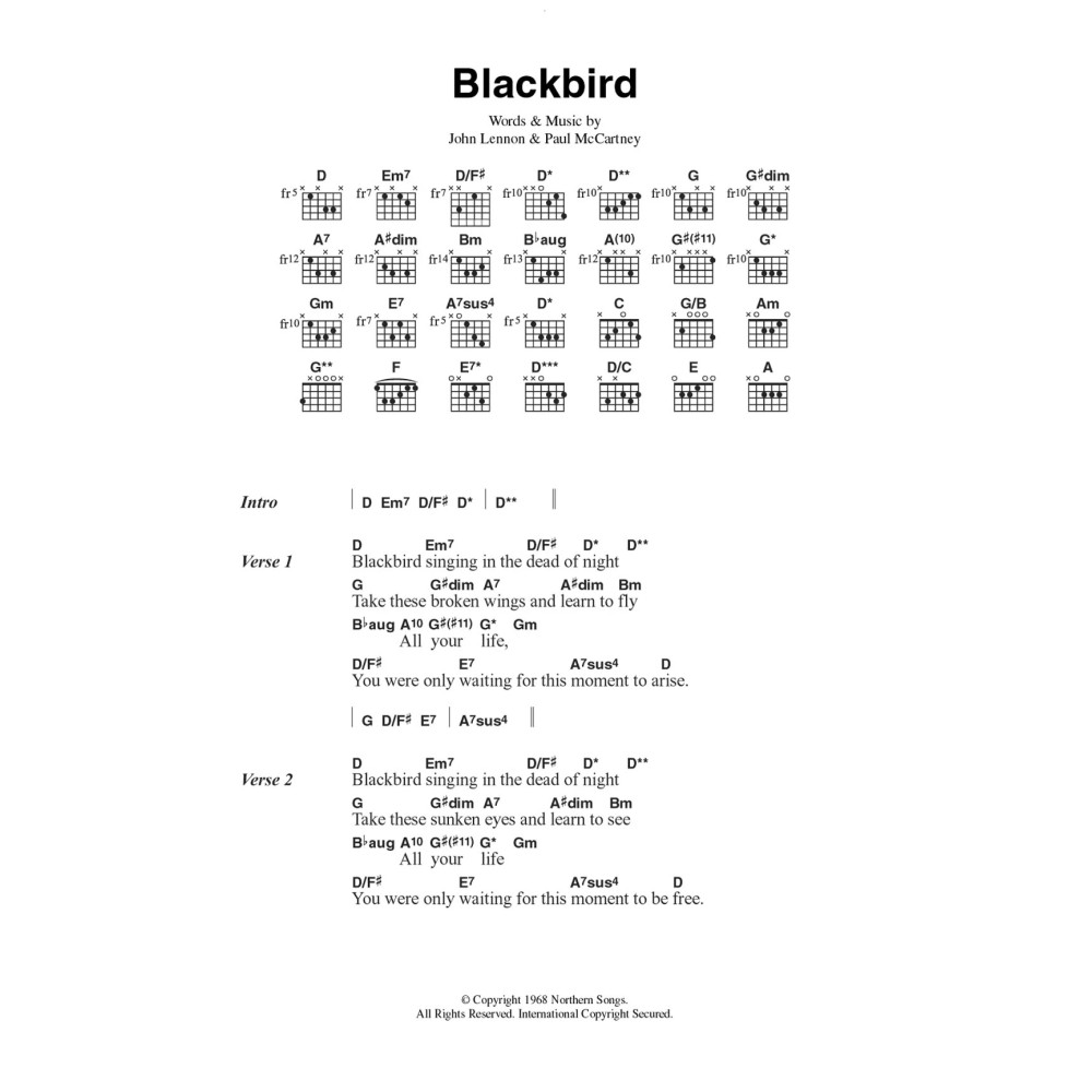 Blackbird
